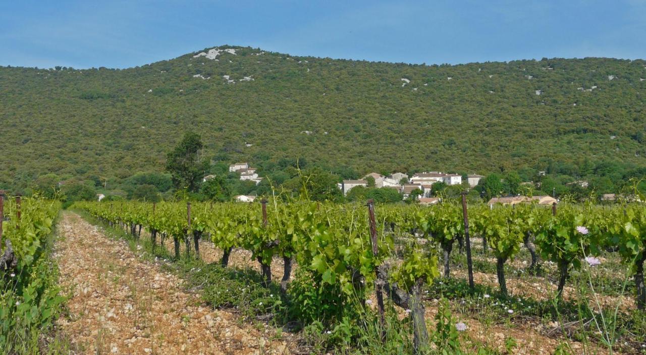 Bed and breakfast Demeure Cevenole Les Rameaux